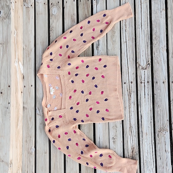 Maeve Elliana Embroidered Mutton Sleeve Sweater Sand Large Ladybug Knit Fall - Picture 5 of 12